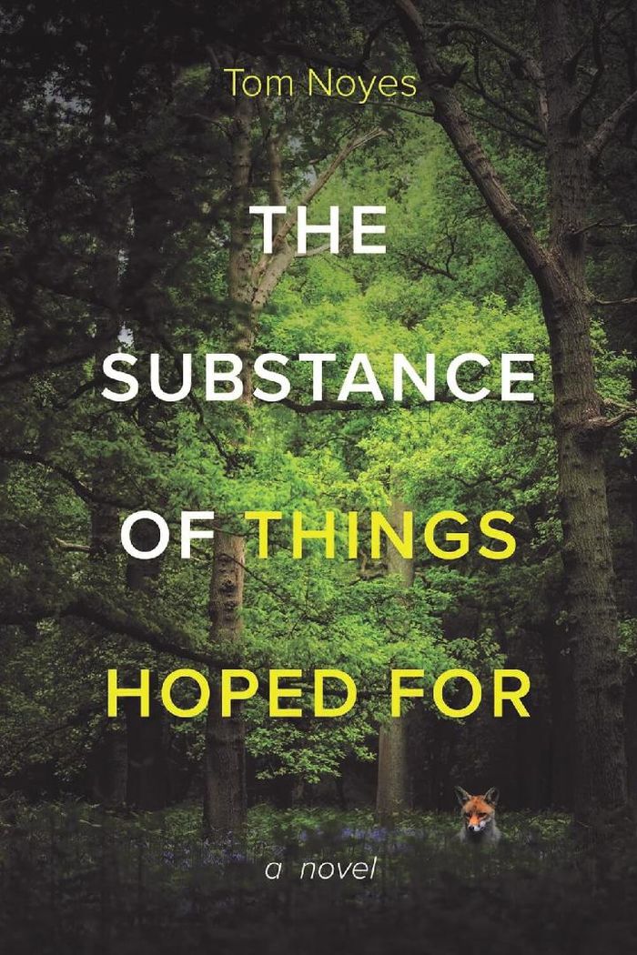 The cover of "The Substance of Things Hoped For," a novel by Penn State Behrend faculty member Tom Noyes.