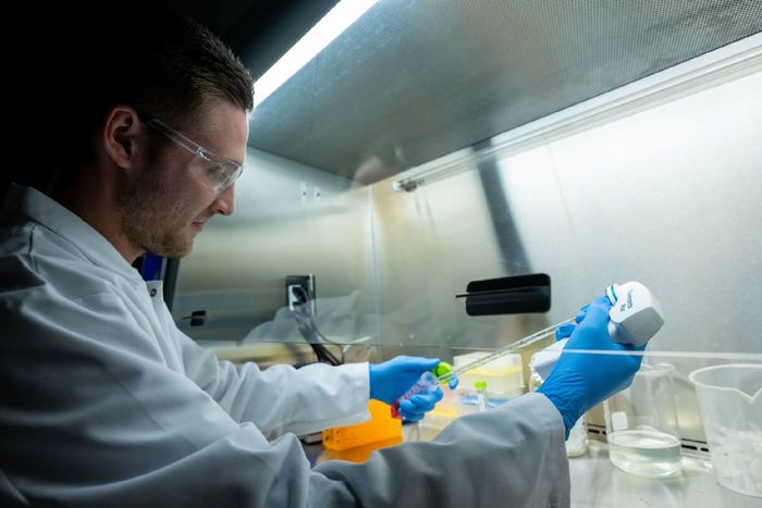 Adam Boaks, a student at Penn State Behrend, works in the college's new Biomedical Translational Research Lab.