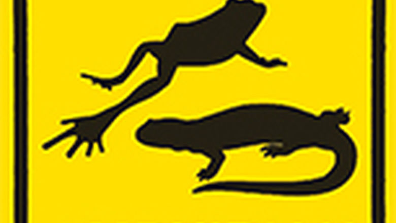 Amphibian Crossing sign
