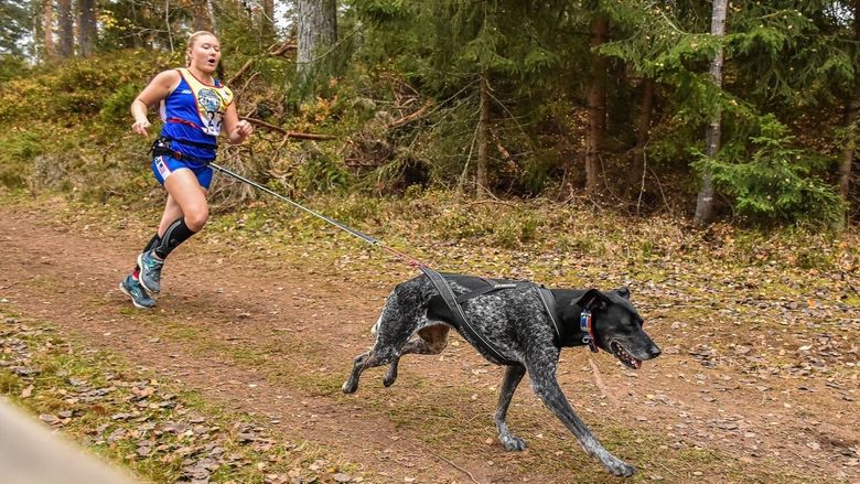 Penn State Behrend student Emily Ferrans runs in a canicross race with her dog, Marge.