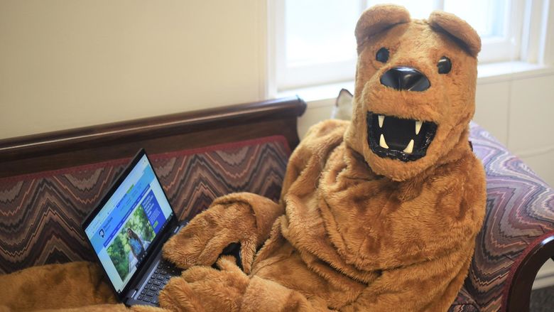The Nittany Lion works on a laptop while reclining on a couch.