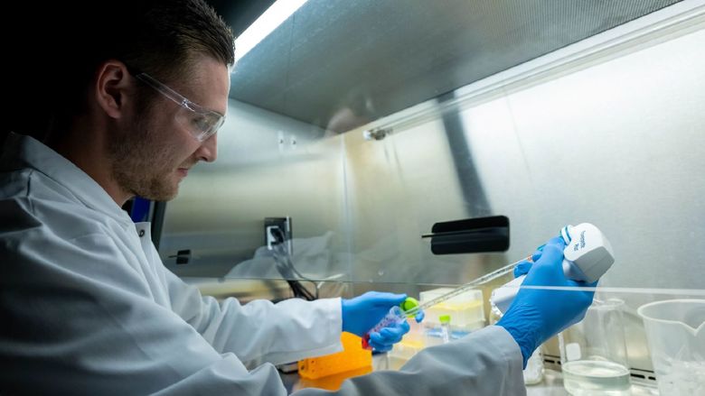 Adam Boaks, a student at Penn State Behrend, works in the college's new Biomedical Translational Research Lab.