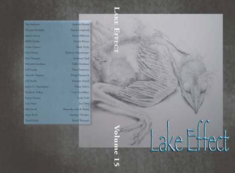 Cover of Lake Effect Spring 2011