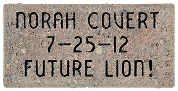 Paver Norah