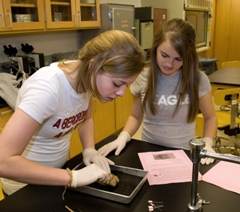 Penn State Behrend Math Options Career Day in Erie, PA