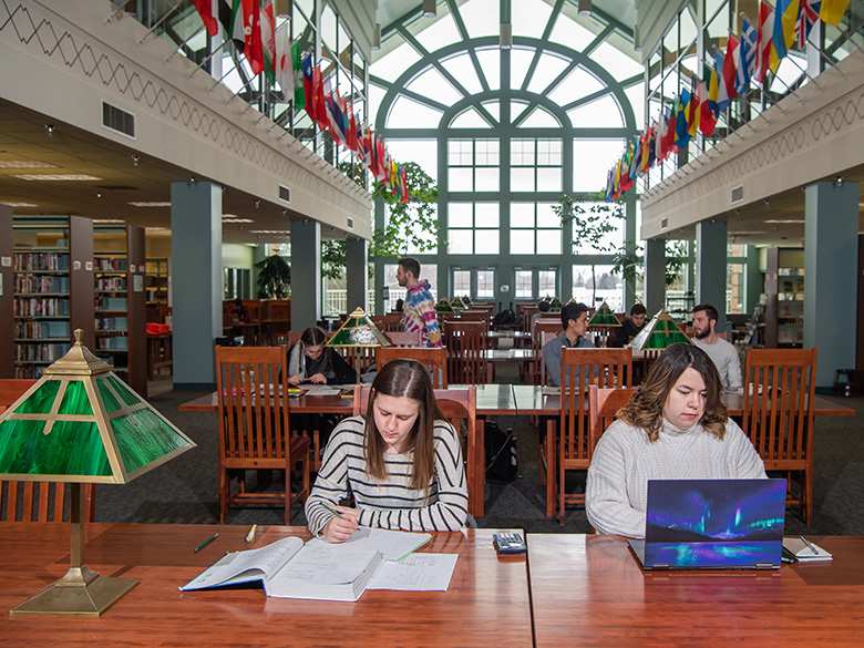 Behrend students study in Lilley Library.