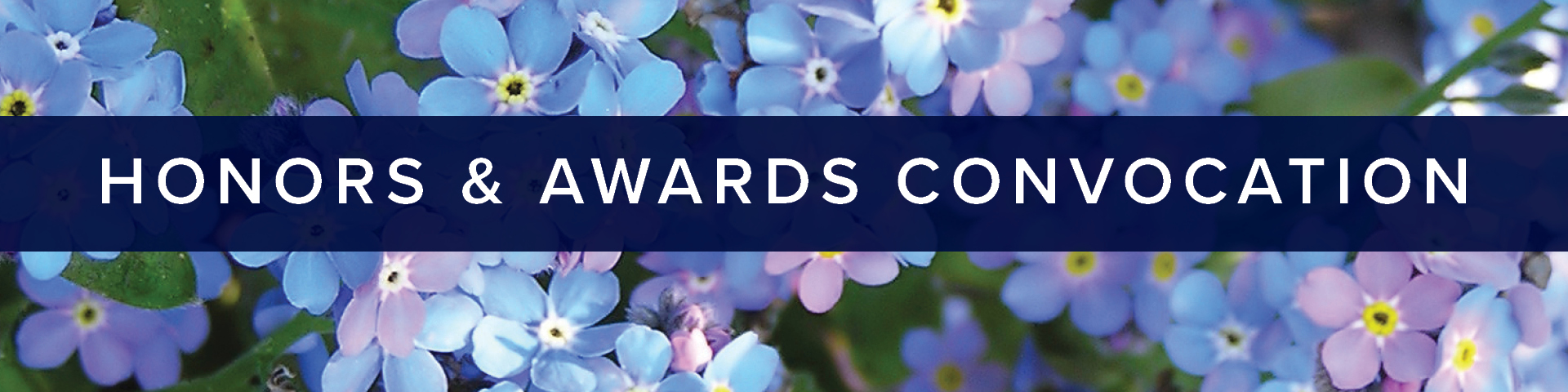 Words "Honors and Awards Convocation" on image of blue forget-me-not flowers