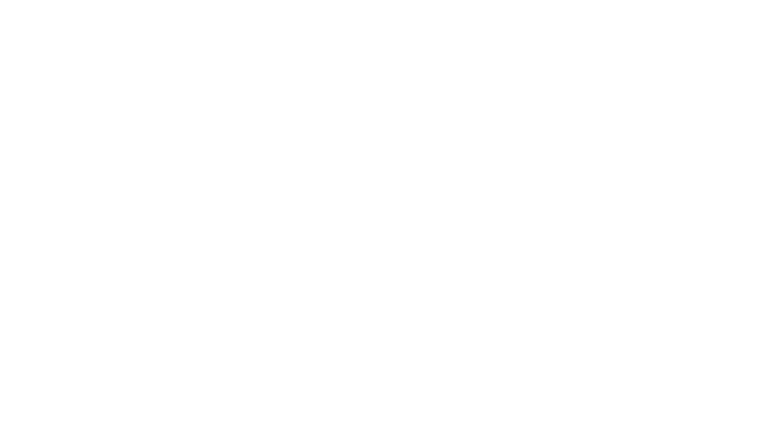 Give: Support Behrend