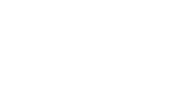 MMM 4+1 Fast Track Master's Degree