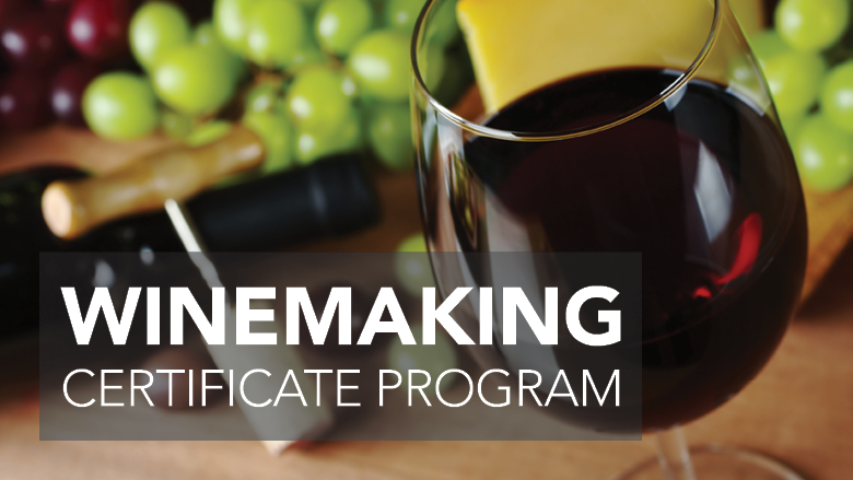 Winemaking Certificate Program text on photo of grapes, cork, and wine glass