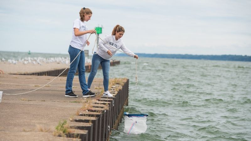 Two Penn State Behrend students lower a net into the water while searching for Hemimysis anomala.