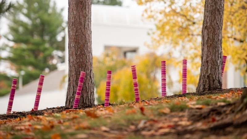 Stacked plastic discs create an art sculpture in a Penn State Behrend tree line.