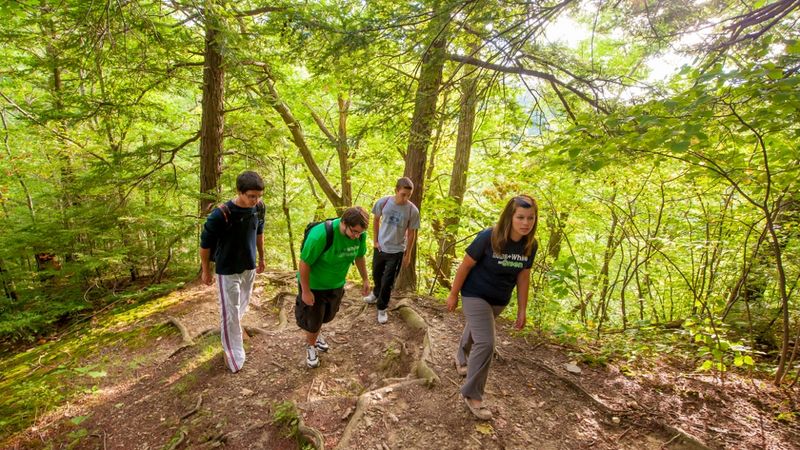Students walk through a wooded area of Wintergreen Gorge near the Penn State Behrend campus.