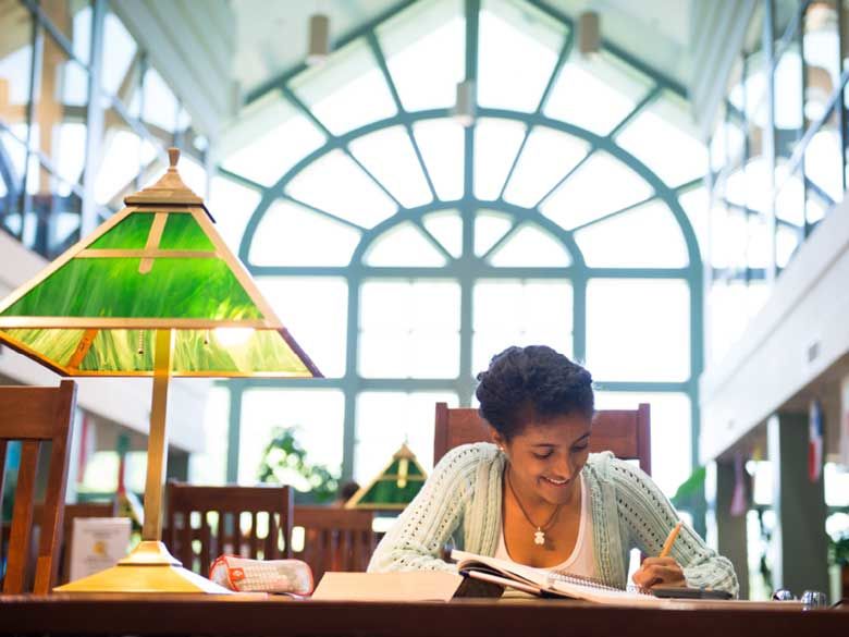 A student studies in the Lilley Library on the Penn State Behrend campus.