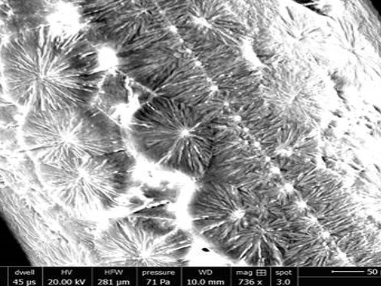 Sample image generated in material characterization lab at Penn State Behrend