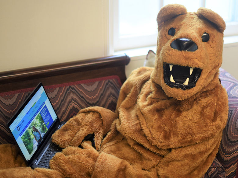 Lion mascot using a laptop