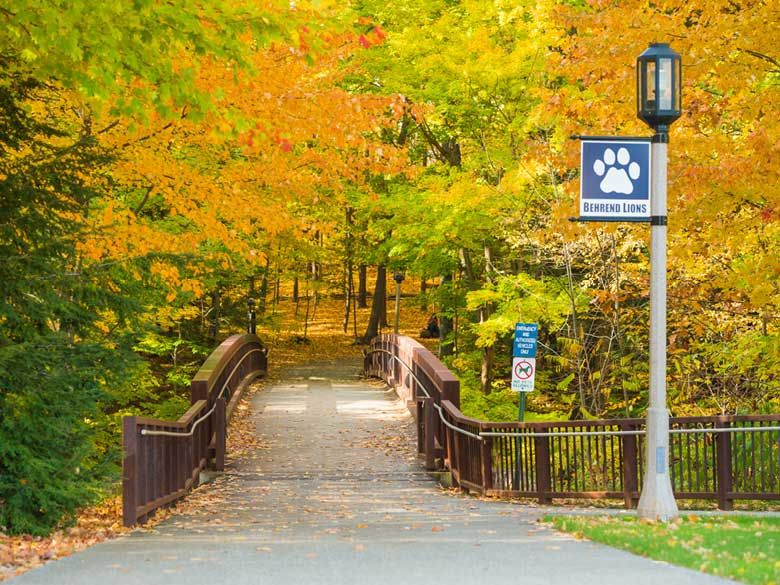 The path to Behrend Fields includes a bridge, flanked by golden trees in autumn.