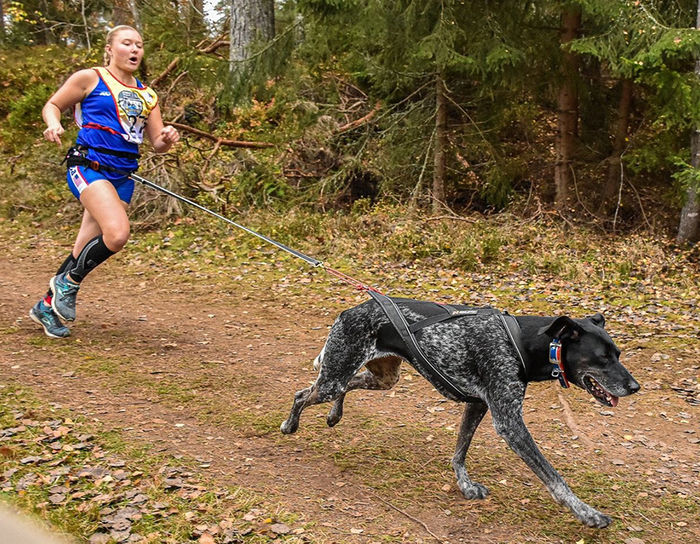 Emily Ferrans and her dog Marge in a canicross event