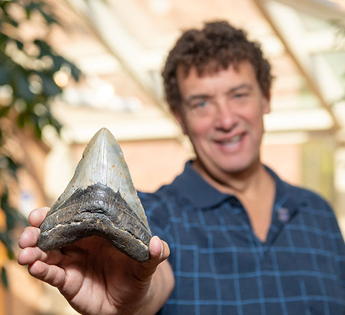 Bill Eberlein with one of his Megalodon teeth