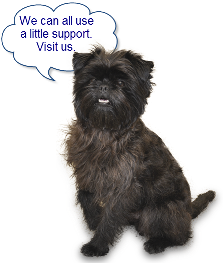 Ernie (the therapy dog):  "We can all use a little support.  Visit us."