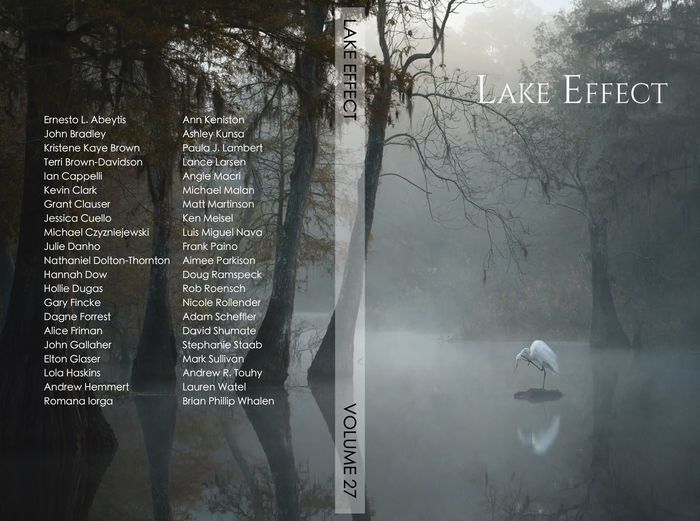 Lake Effect 2023 Cover shows white bird in misty pond surrounded by trees and list of authors and artists