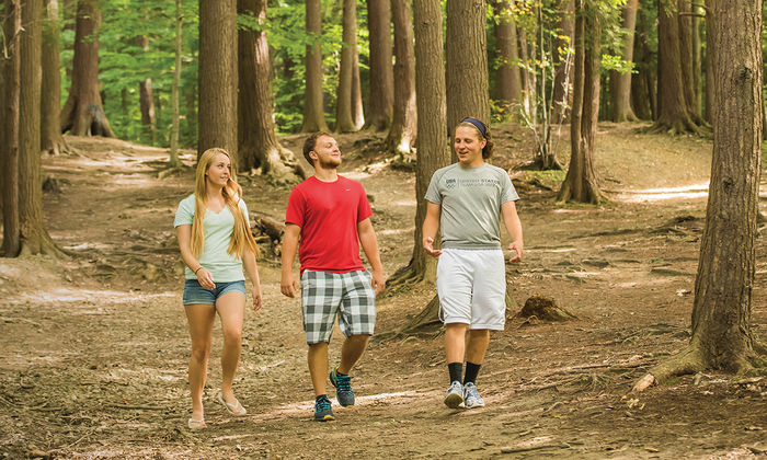 Wintergreen Gorge, located on and adjacent to the Behrend campus, has been a popular recreation destination for students and community for seventy years.