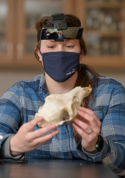 Penn State Behrend faculty member Lynne Beaty holds an animal skull.