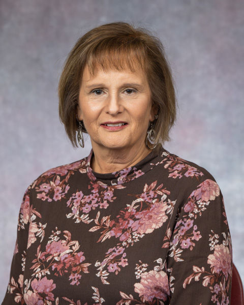 Debra Loop, D.N.P., RN, CNE, CHSE