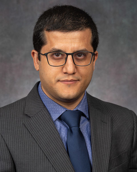 Omar Ashour, Ph.D.