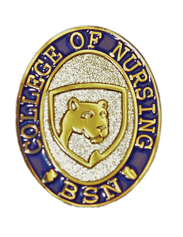 Penn State Nursing Pin