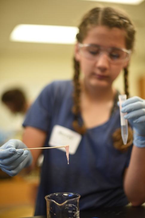 Macey Eyler observes the DNA that she had just isolated from strawberries and bananas during Math Options Career Day at Penn State Behrend on May 9.