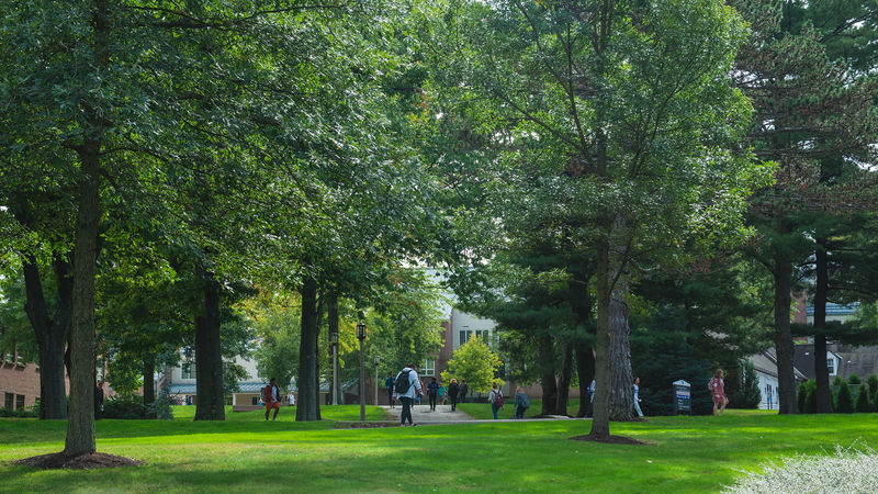 View of trees and students from bridge near Erie Hall