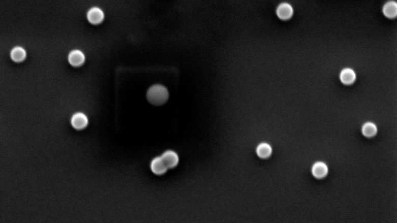 A black-and-white image of nanoplastics, captured on the ESEM at Penn State Behrend.