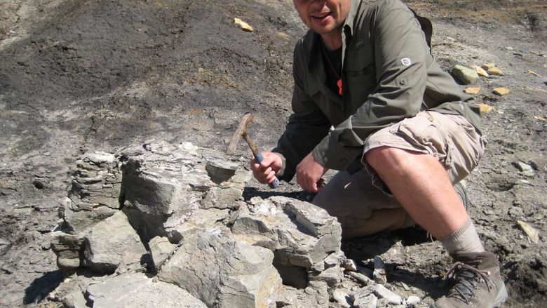Todd Cook using a tool to dig for fossils.