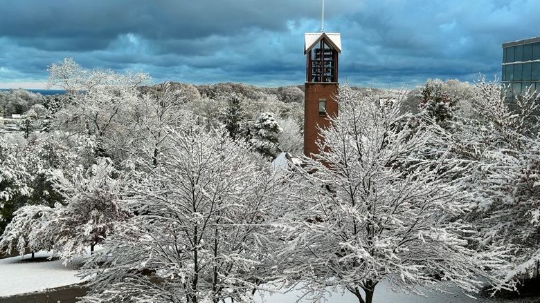 A brick bell tower stands out behind snow covered trees on a cloudy day