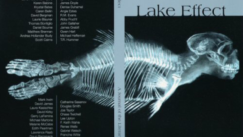 Lake Effect Cover Art 2005 - Volume 9