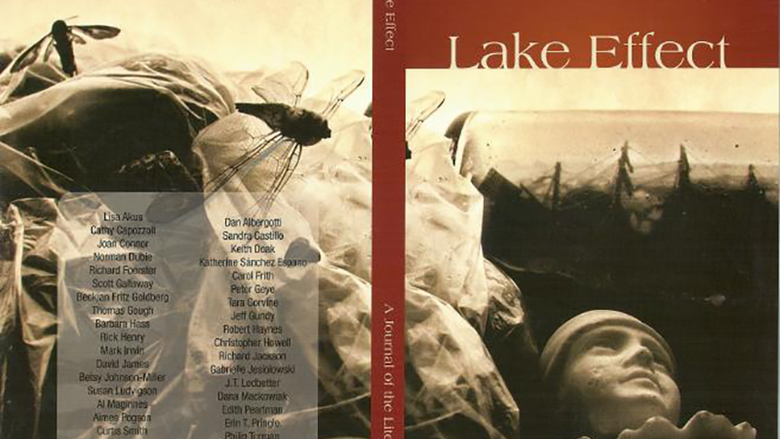 Lake Effect Cover Art 2006 - Volume 10