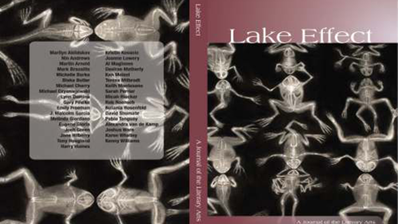 Lake Effect Cover Art 2009 - Volume 13 
