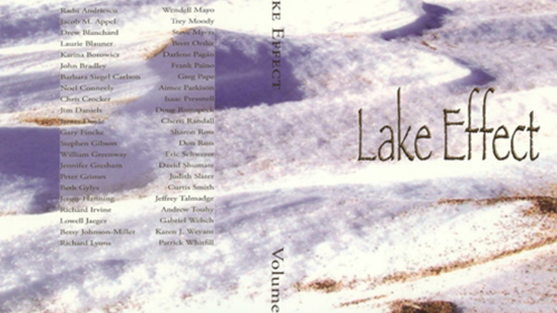 Lake Effect Cover Art 2010 - Volume 14