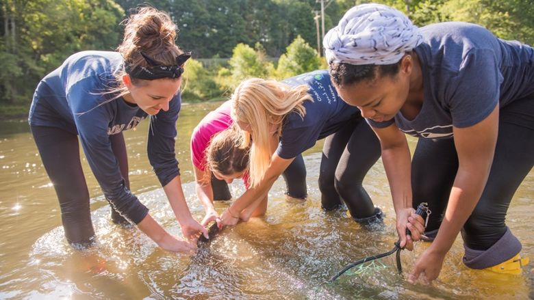 Students search for Hellbender salamanders in French Creek