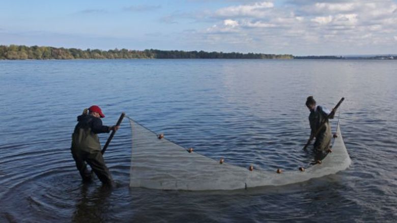 Two researchers use a seine net to collect crayfish in a lake.