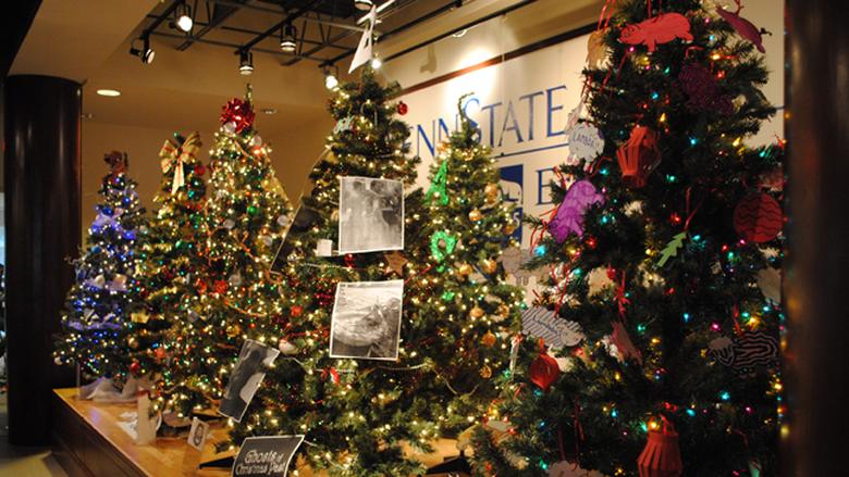 Behrend Festival of Trees now on display at Bruno's