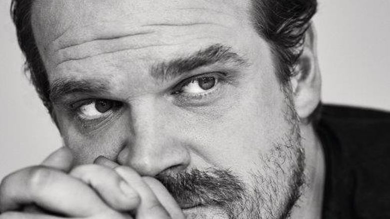 A headshot of the actor David Harbour