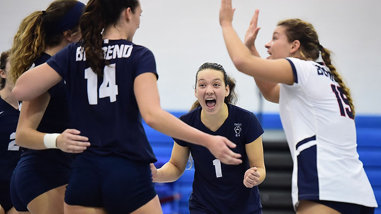 Penn State Behrend volleyball players celebrate after scoring a point.