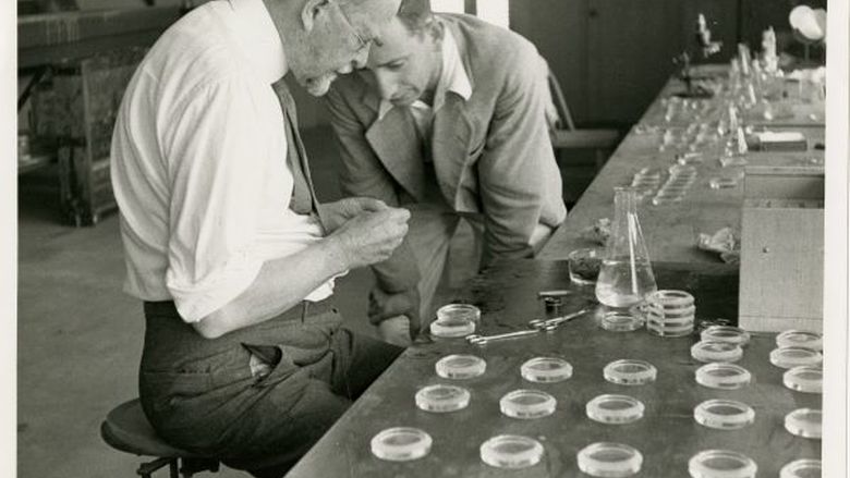 An archival photo of two scientists working with DNA.