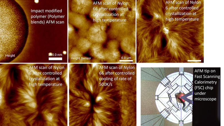 Example AFM images by Dr. Xiaoshi Zhang (description in caption)