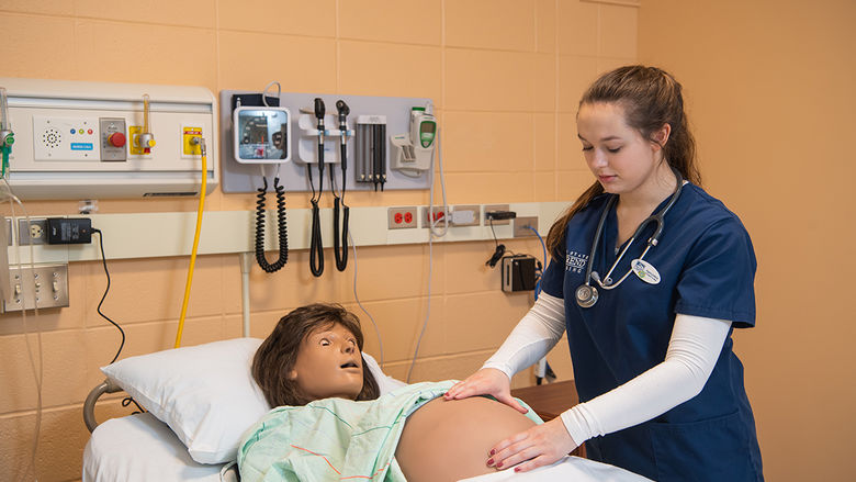 Maternal-fetal simulation