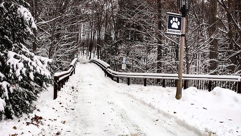 Bridge on Behrend Campus