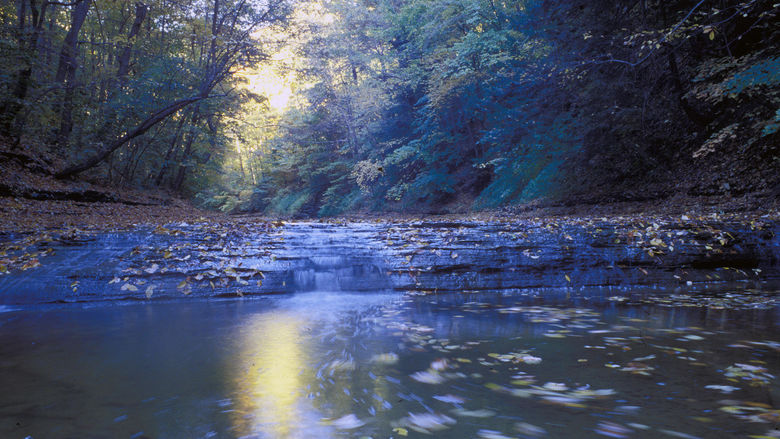 Wintergreen Gorge Waterfall