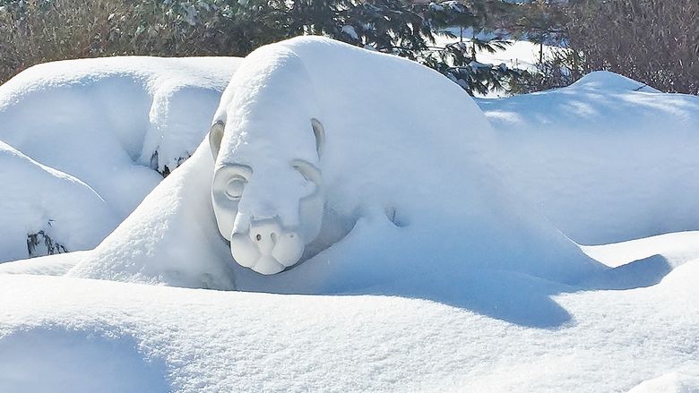 A photo of the Penn State Behrend Lion Shrine covered with snow.